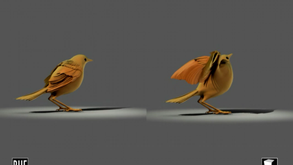 bird-setup bird-setup